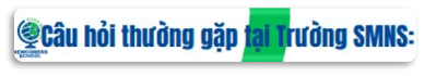FAQ Vietnamese